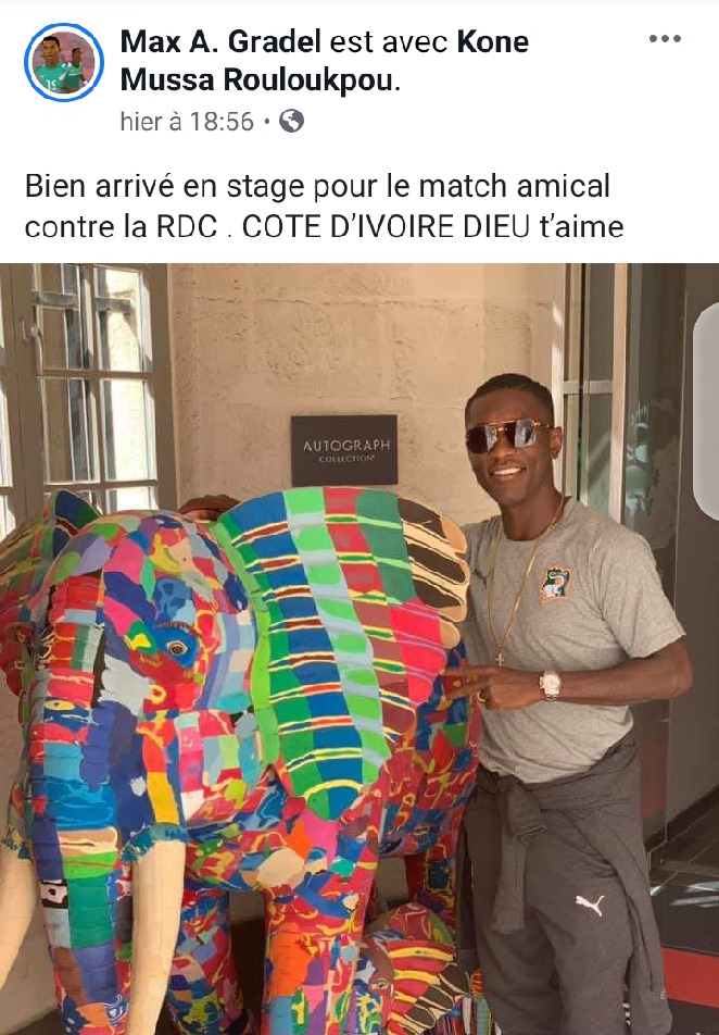 Max Gradel