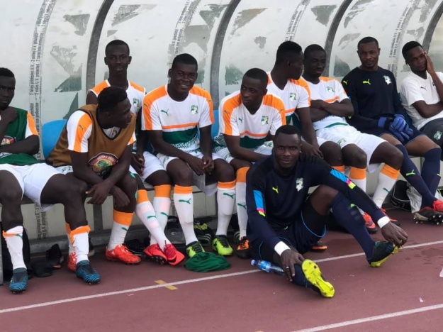L'entraînement des Éléphants en Images