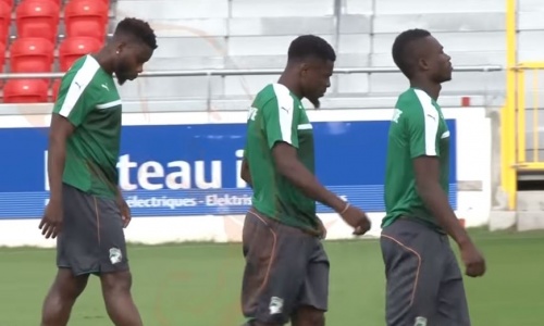 Amical (CIV/Pays-Bas) : Séance d'entrainement des Éléphants à Liège