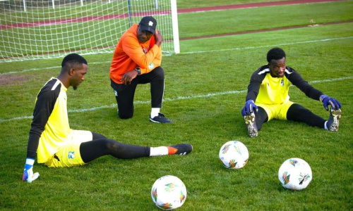 Amicaux : Du nouveau dans les buts des Eléphants, la préparation s'intensifie en France