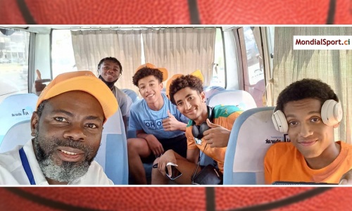 Basket : Les Eléphanteaux en quarantaine en Egypte ont été libérés