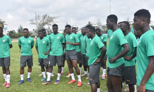 Eléphants : Ça bosse dur chez les locaux