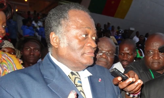 Cameroun-CM 2014: Joseph Owona conduit une délégation camerounaise au Brésil