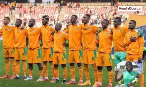 CAN 2021 : Gervinho adresse un message aux Eléphants après leur élimination face aux Pharaons