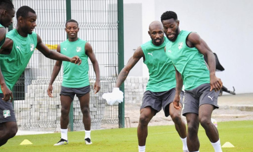 ‘‘CIV-Maroc’’ : Ça bosse dur chez les Pachydermes