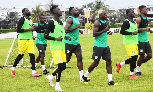 CIV-Mozambique / Cameroun-CIV : Les premiers Éléphants au labo à Sol Béni (Images)