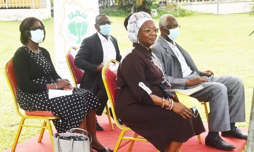 CN-FIF : Un 5è membre attendu ; Voici les rôles que joueront les 4 premiers