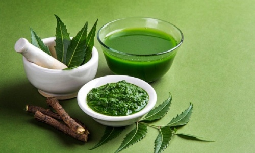 Coronavirus : Non, les feuilles de neem ne contiennent pas de la chloroquine