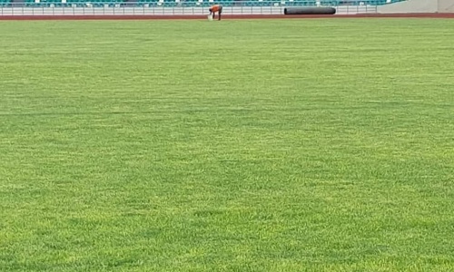 ‘‘Côte d’Ivoire-Cameroun’’ : La réhabilitation de la pelouse d’Ebimpé en images