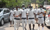 ‘‘Côte d’Ivoire-Egypte’’ : Les images de la marche d’avant-match des Pachydermes