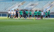 Coupe du monde : ça bosse dur chez les Eléphants avant le choc face à la Tri