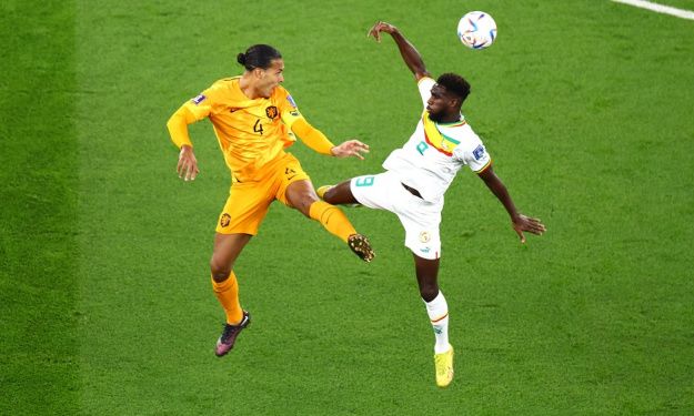 Coupe du monde : le Champion d’Afrique s’incline devant les Pays-Bas