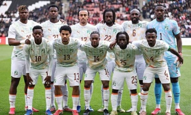 Coupe du monde : voici les différents dossards des 26 Eléphants