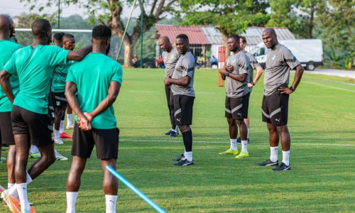 Éléphants : 3è jour de travail pour coach Emerse Fae