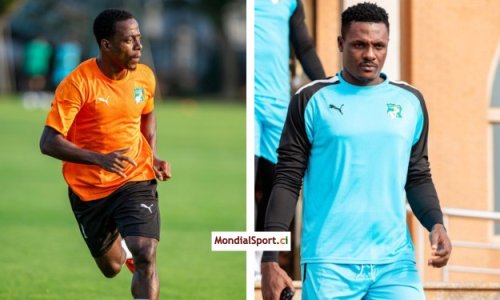 Eléphants : Folly Ayayi et Armel Zohouri appelés en renfort