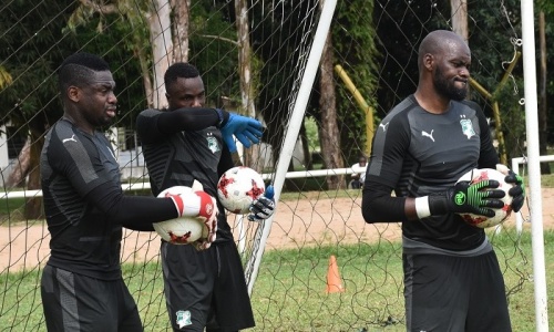 Eléphants (gardiens) : N’Drin Ulrich préféré à Ira Tapé aux côté des anciens