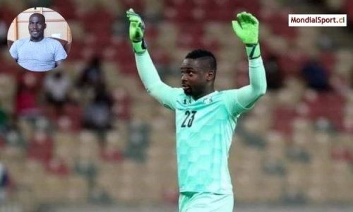 Eléphants : Guy Demel encense son ancien coéquipier Sangaré Badra Ali