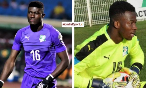 Eléphants : Ira Tapé et Mohamed Koné appelés en renfort