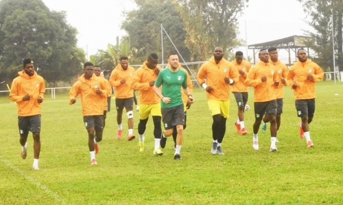 Eléphants : Le travail a commencé du côté de Sol Béni (images)