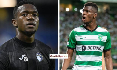 Eléphants : les grands enseignements de la liste de Jean-Louis Gasset