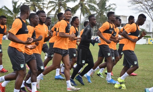 Eléphants : Les images de la séance d’entrainement du jour