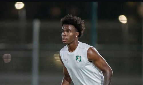 Eléphants : les premiers mots de Christ Oulaï