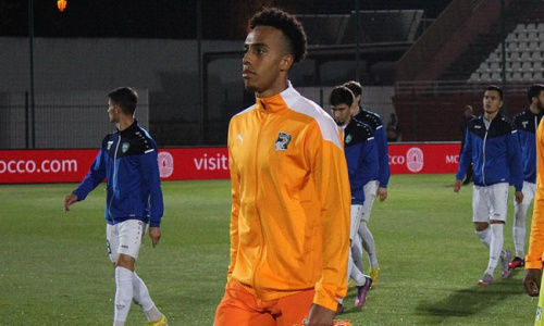 Eléphants : les premiers mots de Guéla Doué