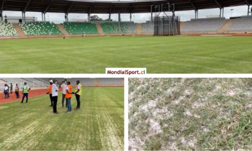 Aspect ‘‘teigneux’’ de la pelouse du stade de Yamoussoukro : L’ONS donne des explications