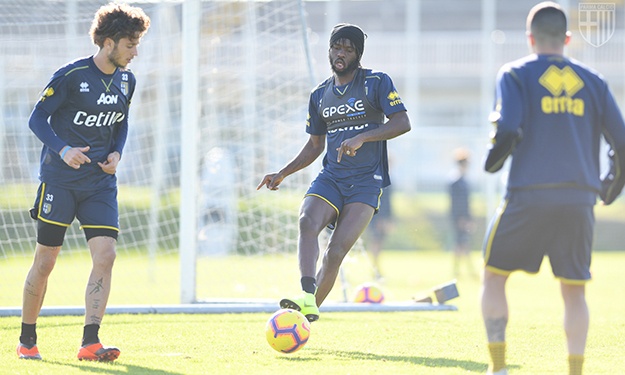 Gervinho de retour à l’entraînement (Parme/Serie A)