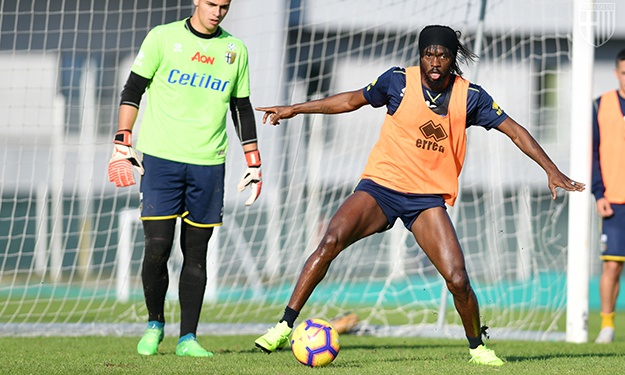 Gervinho de retour à l’entraînement (Parme/Serie A)