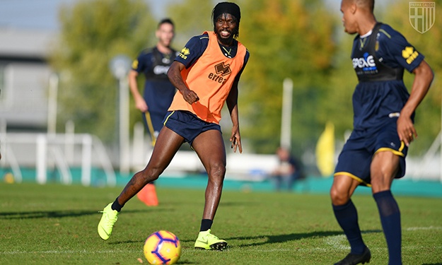 Gervinho de retour à l’entraînement (Parme/Serie A)