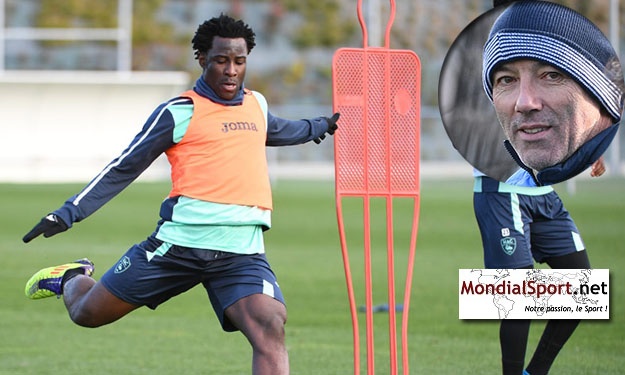Havre AC : Paul Le Guen déjà sous le charme de Wilfried Bony