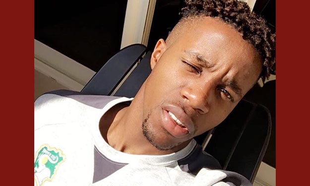 L'éléphant Wilfried Zaha L'éléphant Wilfried Zaha