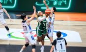 Basket | Mondial Féminin : la Corée du Sud domine le Nigeria