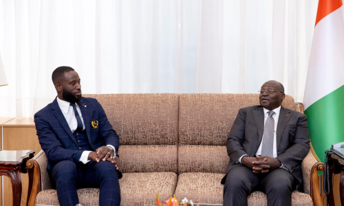 Le Vice-Président de la République a reçu Cissé Cheick