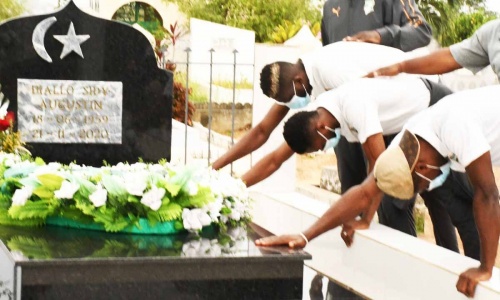 Les Eléphants sur la tombe du Président Sidy Diallo