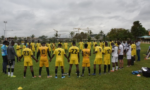 Les Mimos reprennent du service