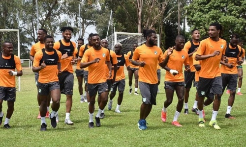 Leur séance d'entraînement du mardi, la satisfaction de Beaumelle, les retardataires, ... les derniers échos des Éléphants