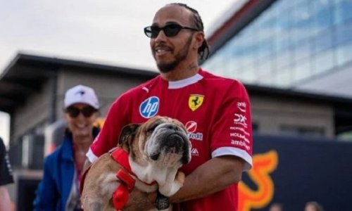 Lewis Hamilton annonce la mort de son fidèle compagnon