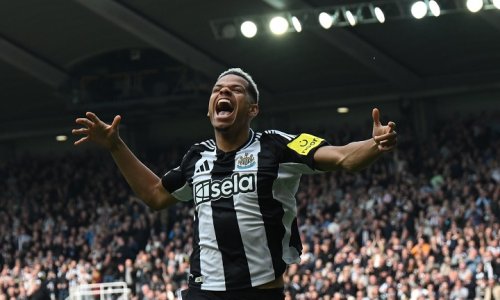 Premier League : Newcastle écrase Ipswich, Brighton vient à bout de West Ham, Wolverhampton atomise Leicester
