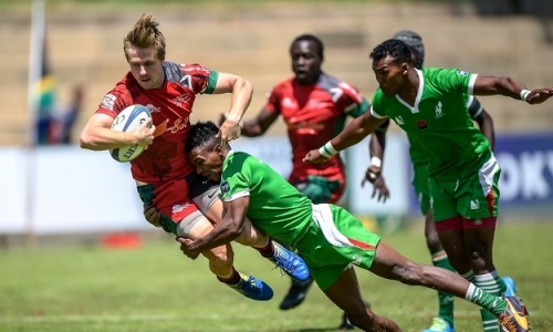 Rugby Afrique : Une série d’ateliers en ligne pour les arbitres à l’étude