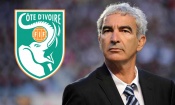 Succession de Wilmots : Domenech frappe à la porte des Éléphants