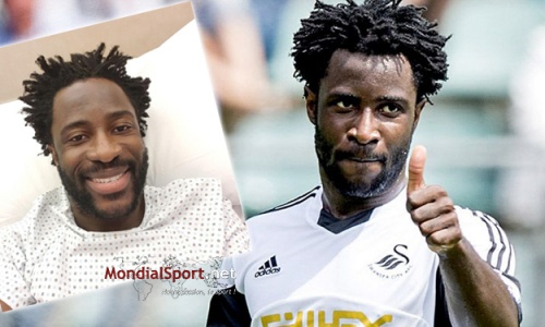 Swansea : Wilfried Bony opéré avec succès